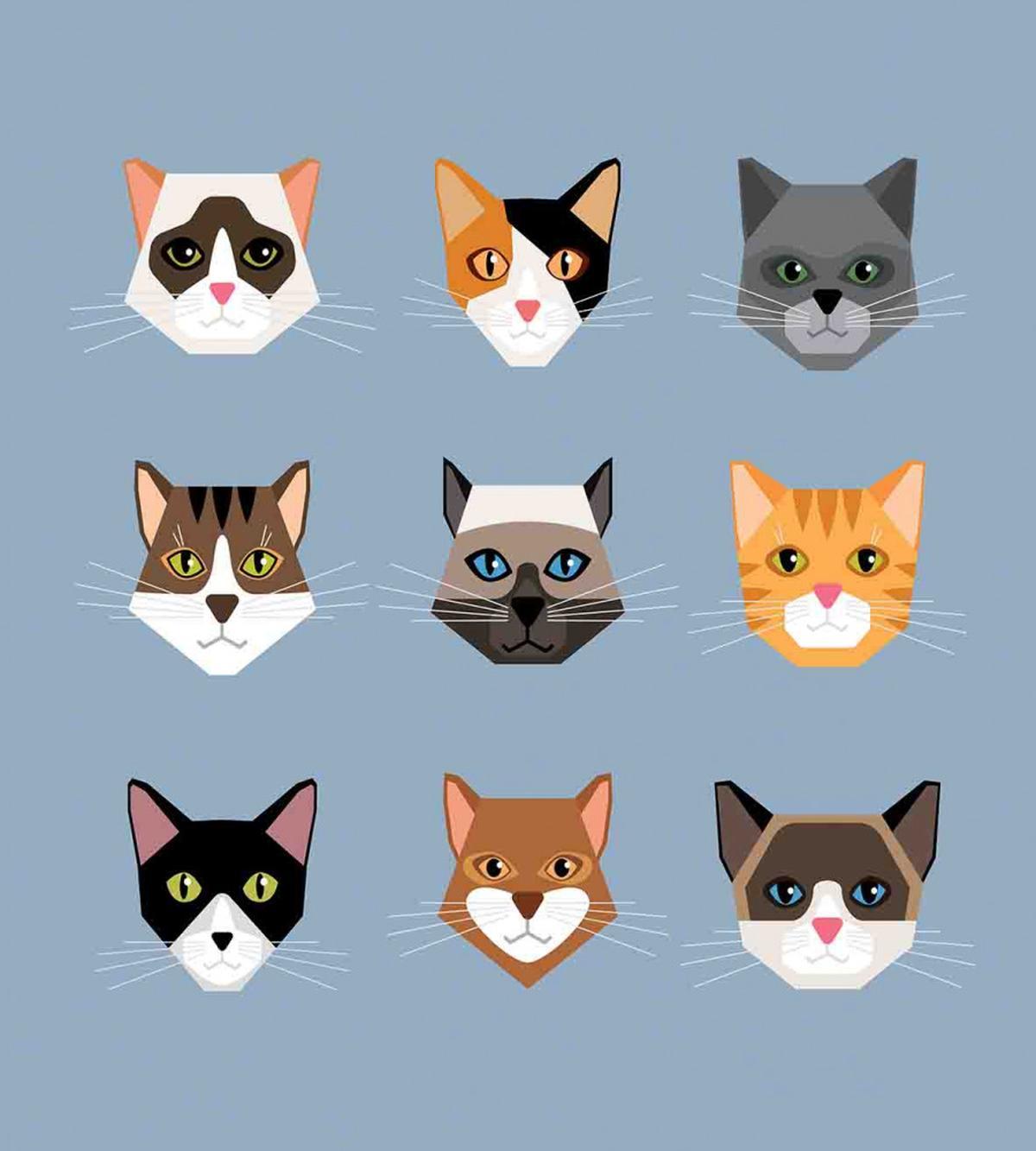 Contemporary Portraits Set — Pattern