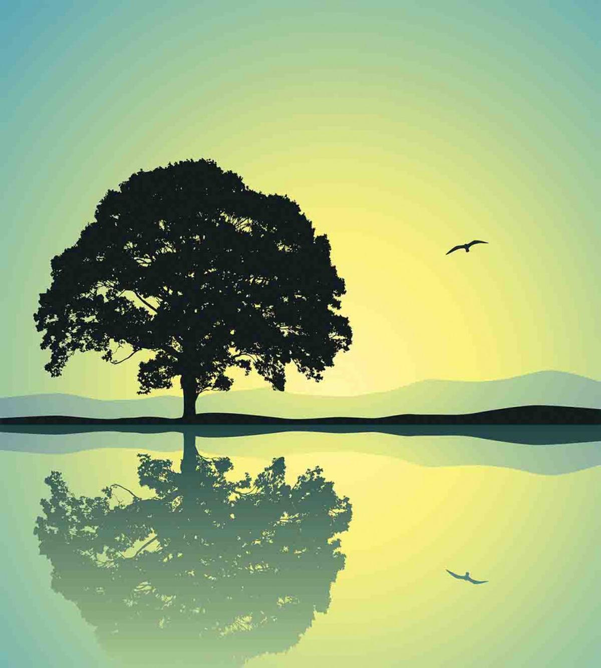 Reflections on Water Sun — Pattern