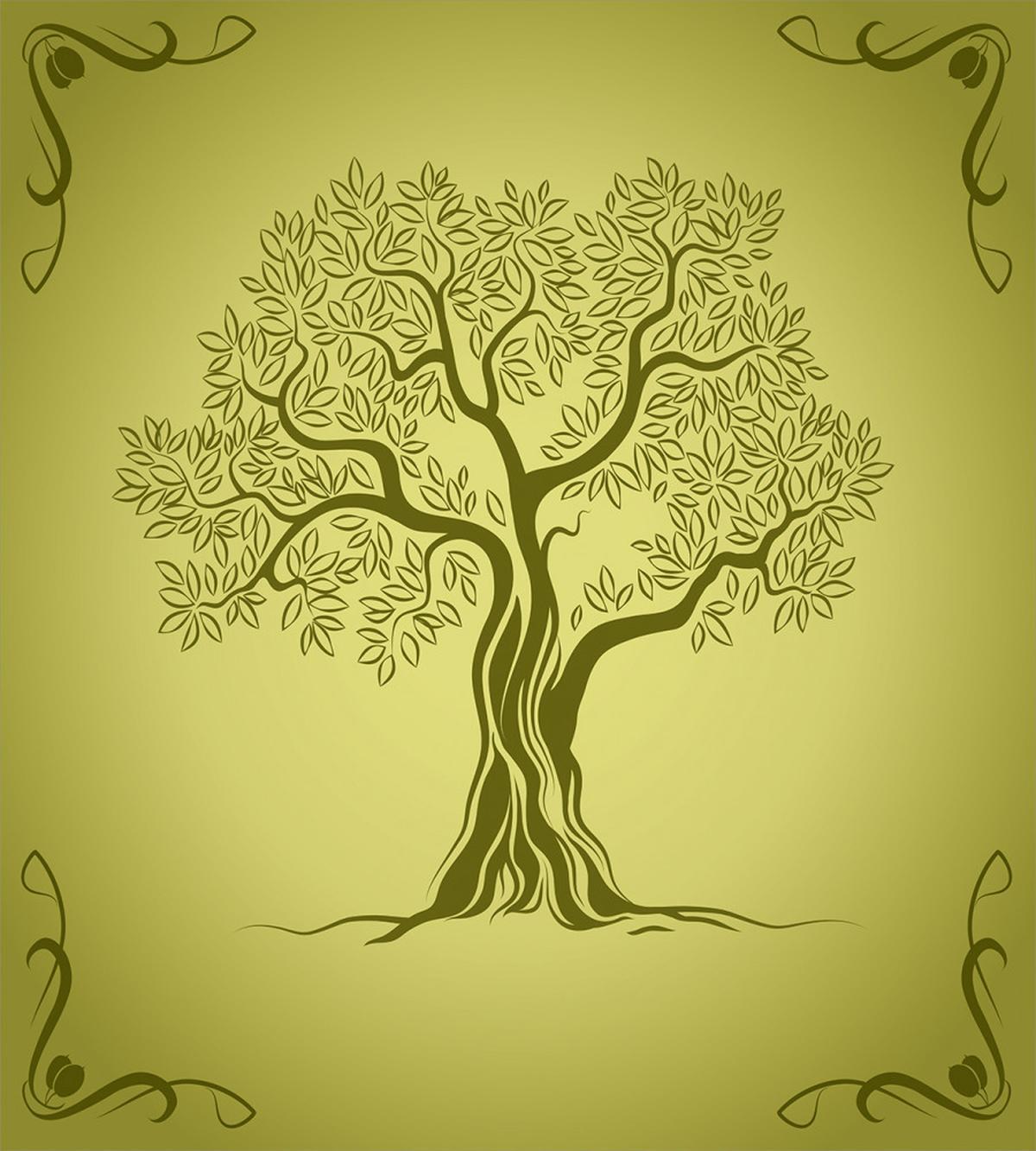 Olive Tree Pattern — Pattern