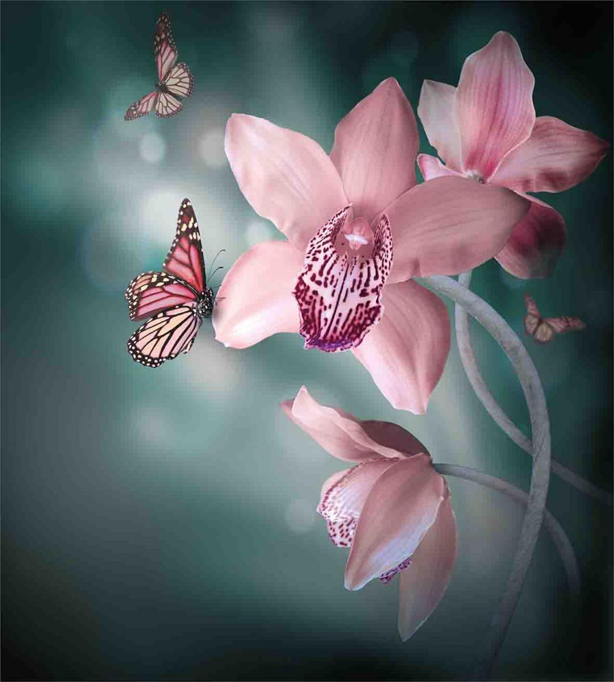 Orchid Flower Butterfly — Pattern