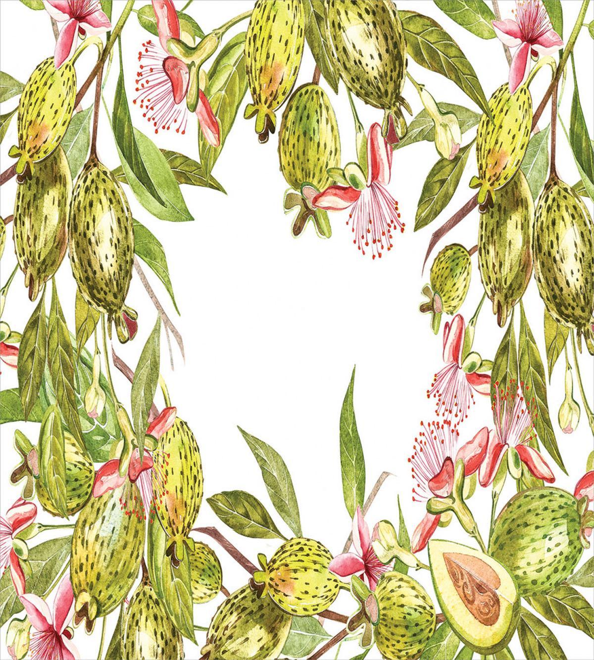 Feijoa Exotic Fruit Floral — Pattern