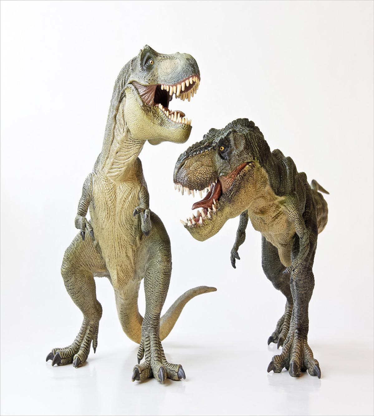 T-Rex Pair Predators — Pattern
