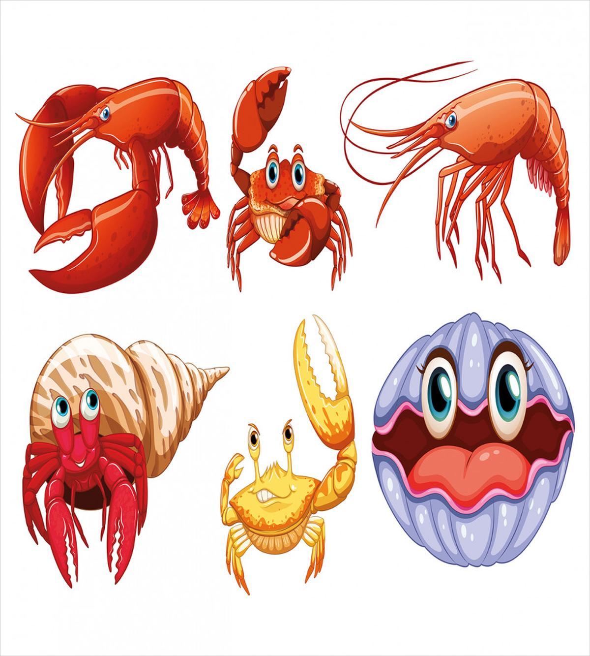 Crab Hermit Crab Lobster — Pattern