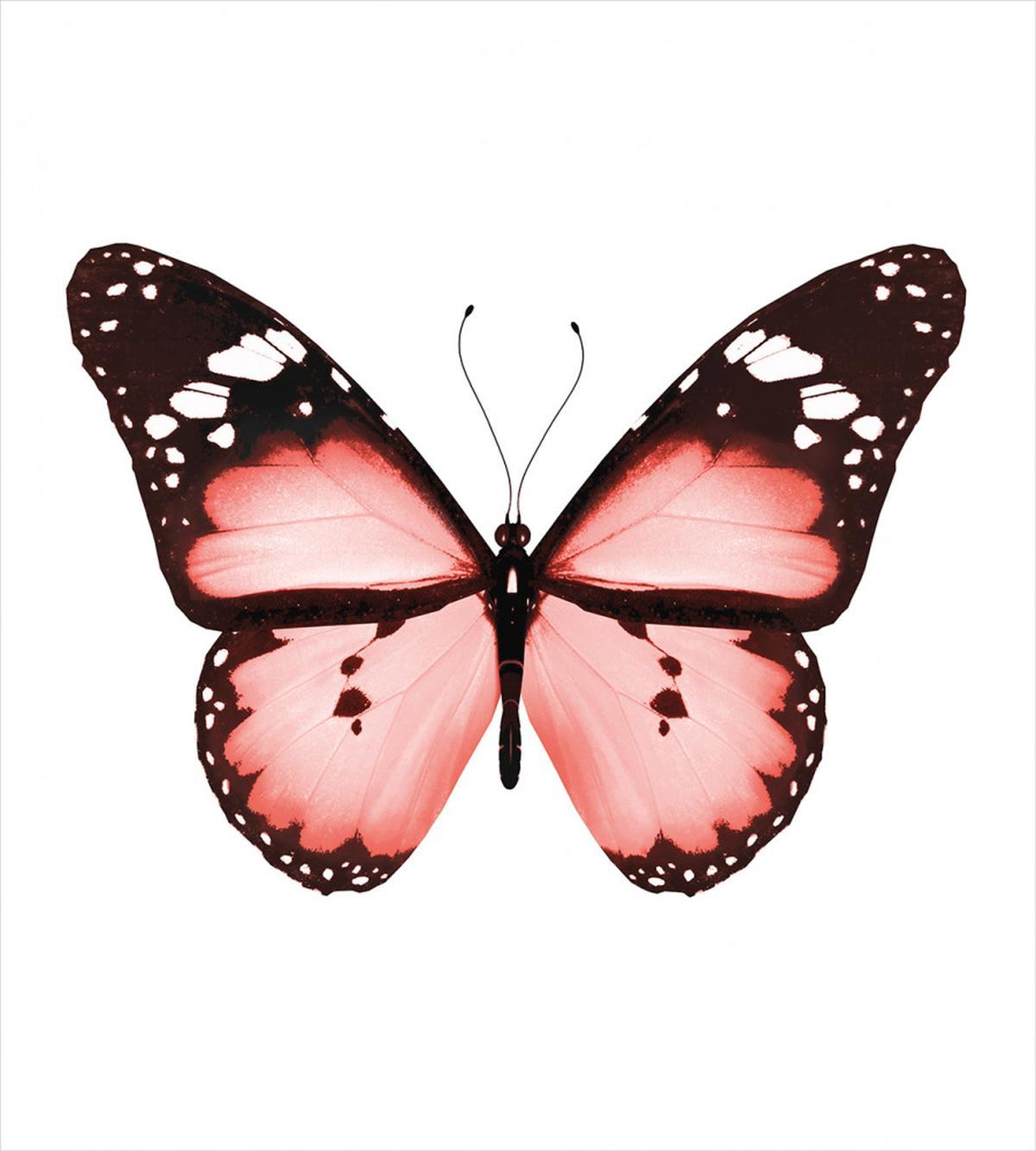 Butterfly Valentines — Pattern