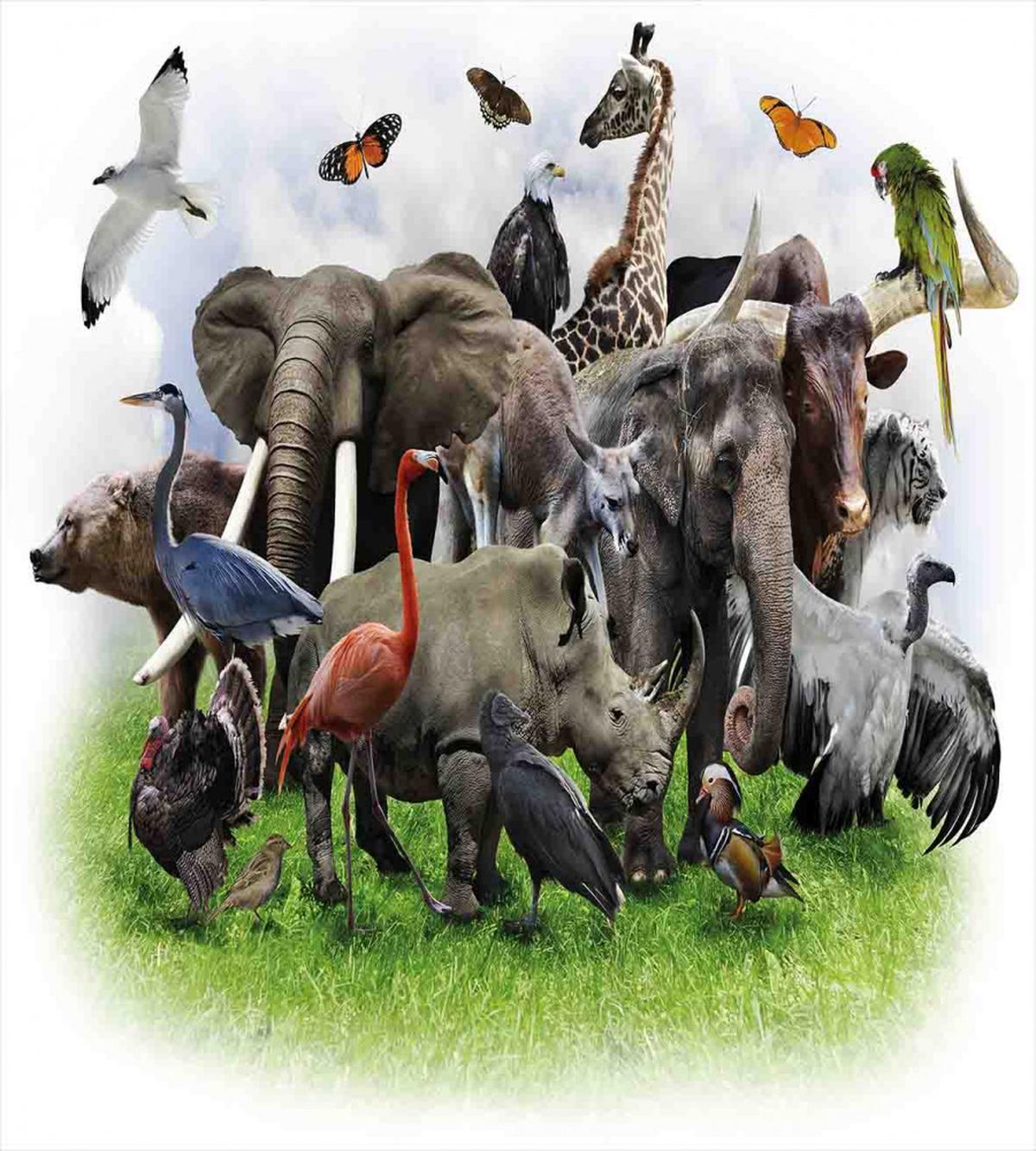 Wild Safari Animals — Pattern