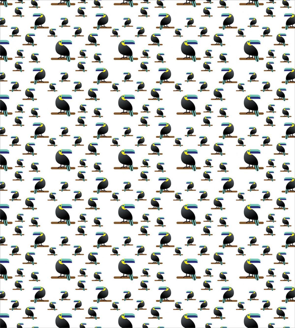 Tropical Toucan Bird Art — Pattern