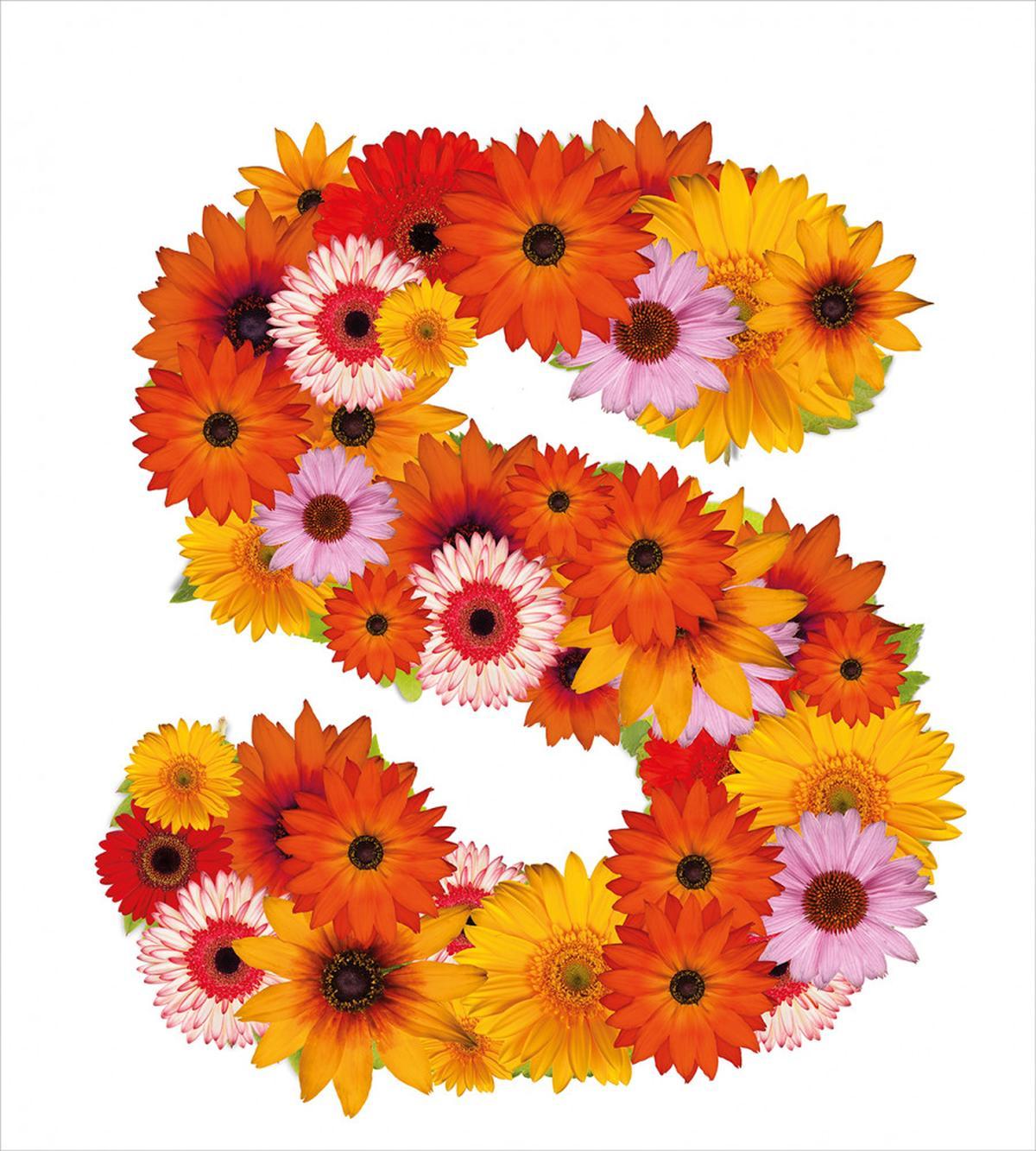 Gerbera Bouquet Design — Pattern