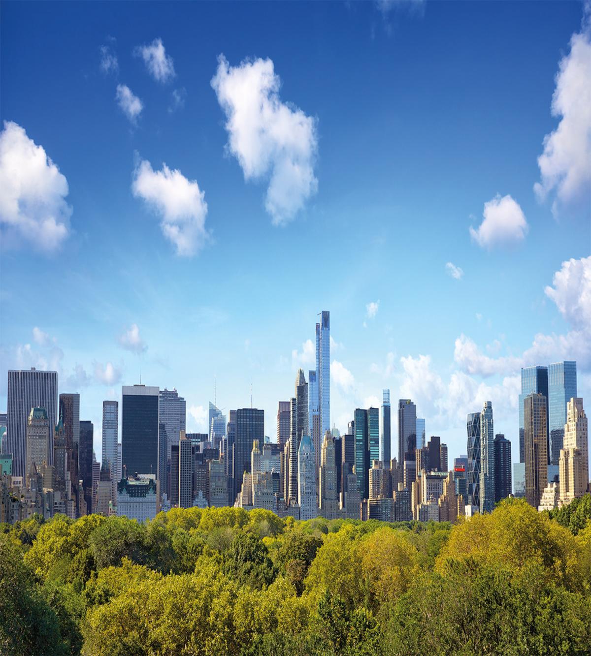 Central Park Midtown NYC — Pattern