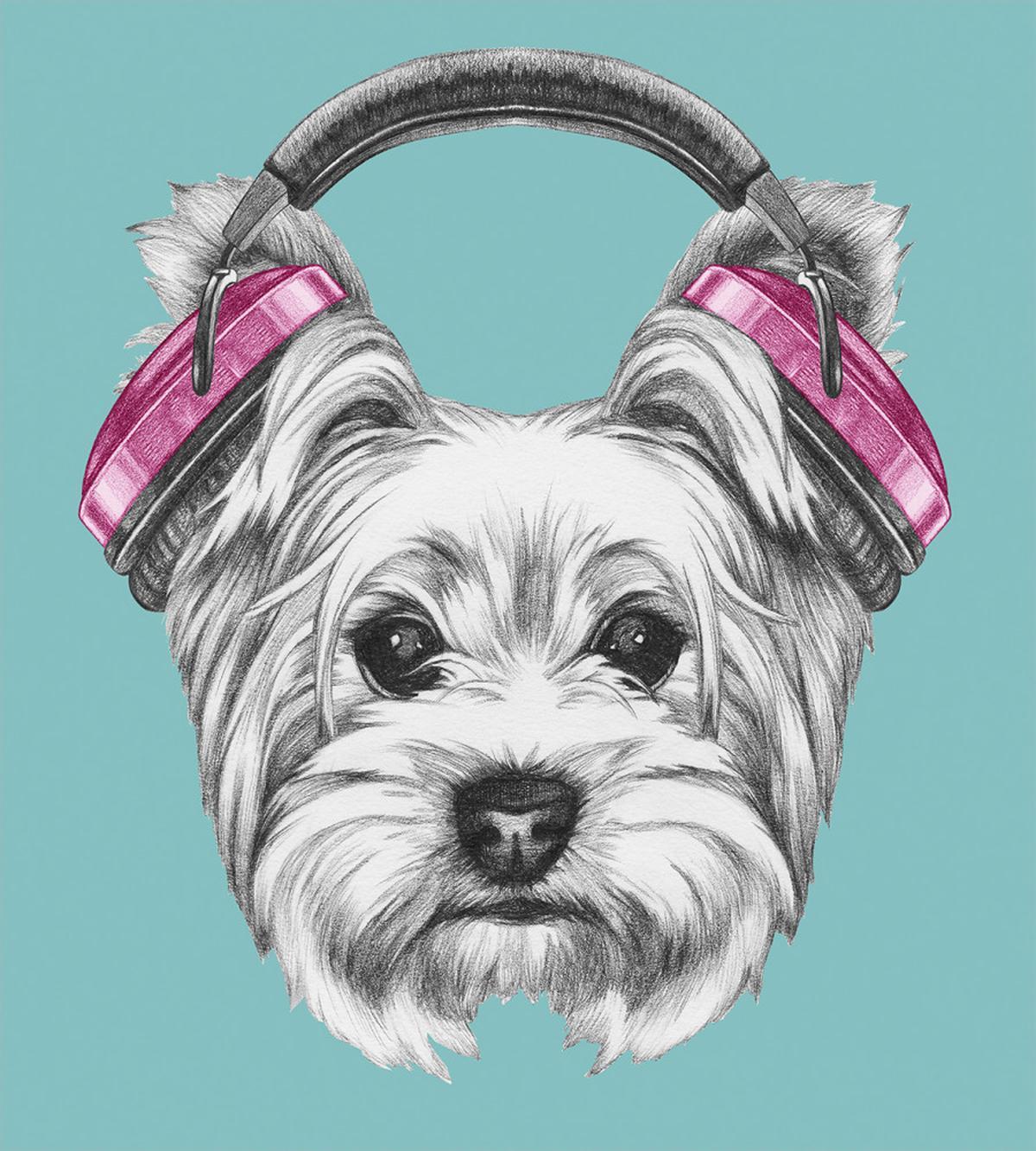 Headphones Music Dog — Pattern