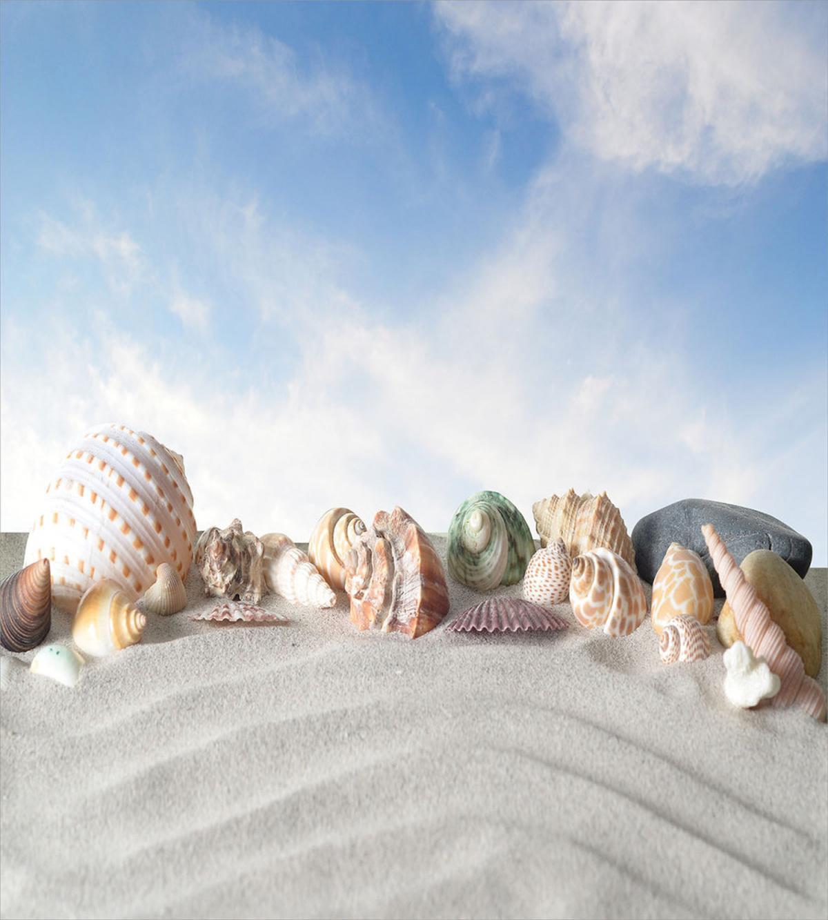 Seashells on Sand Hill Sky — Pattern