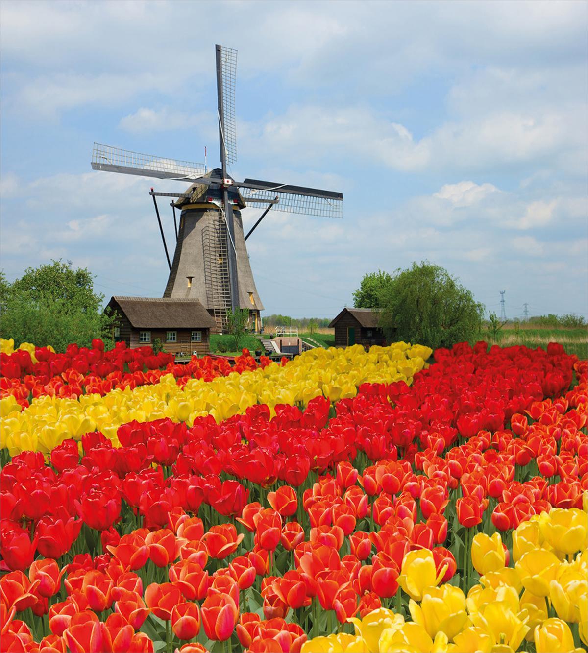 Northern Europe Garden — Pattern