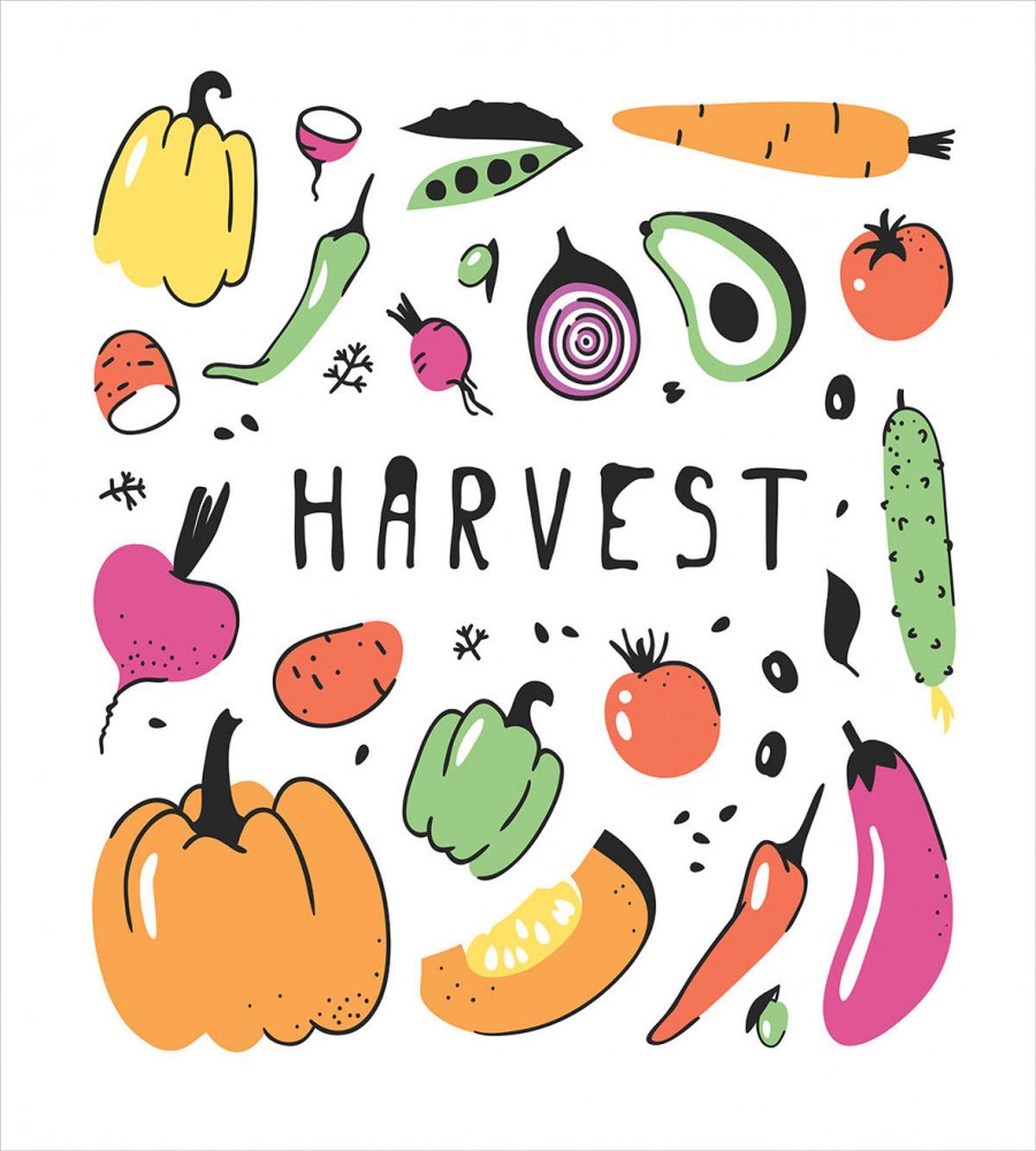 Drawing Fresh Food — Pattern