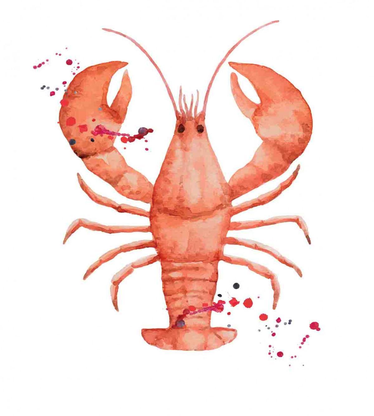 Fresh Organic Seafood — Pattern