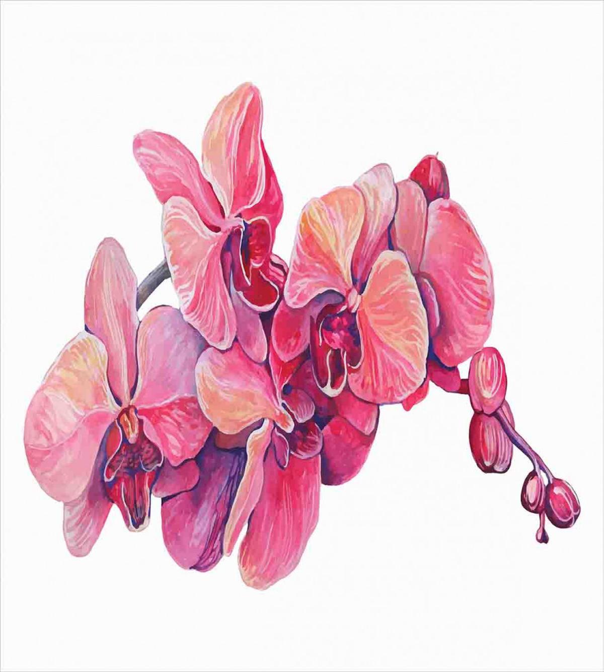 Pink Blossoms on a Branch — Pattern
