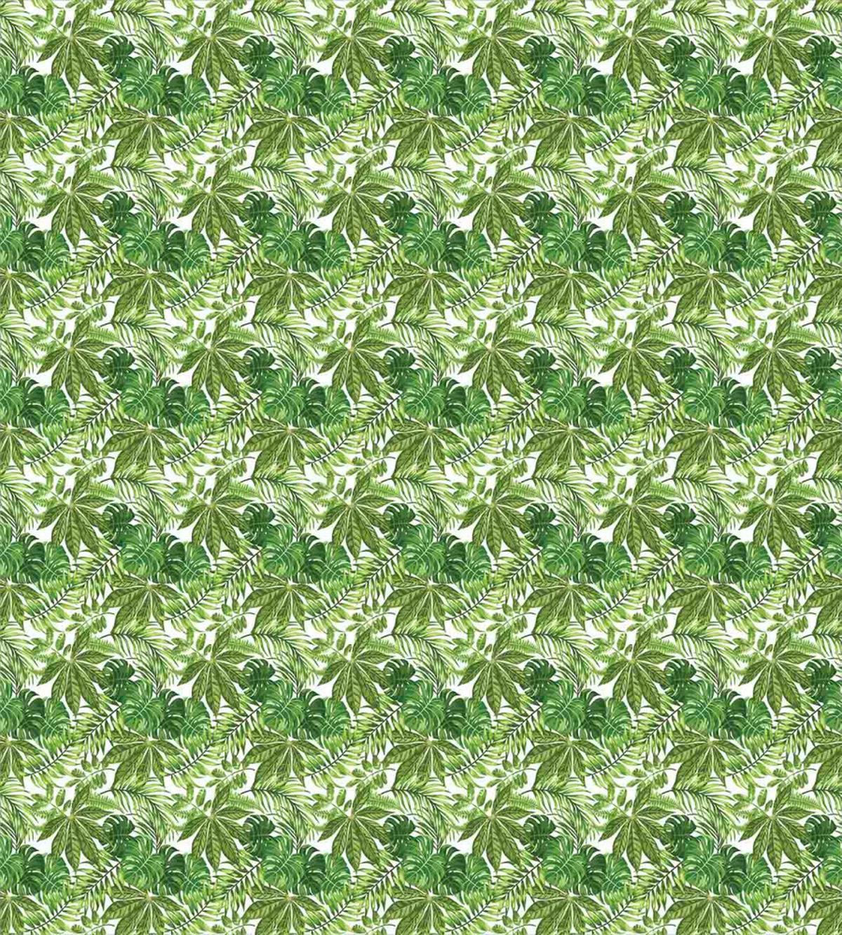 Exotic Vegetation — Pattern