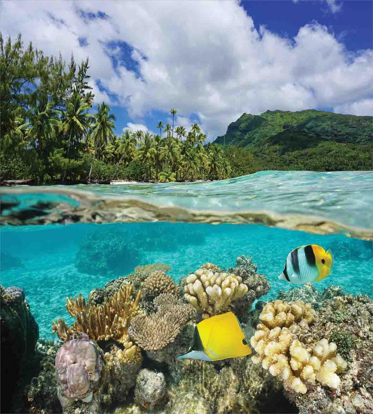 French Polynesia Lagoon — Pattern