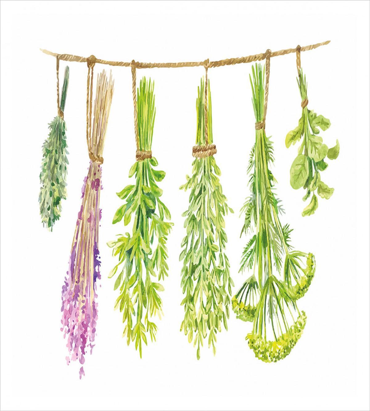 Hanged Beneficial Plants Dry — Pattern