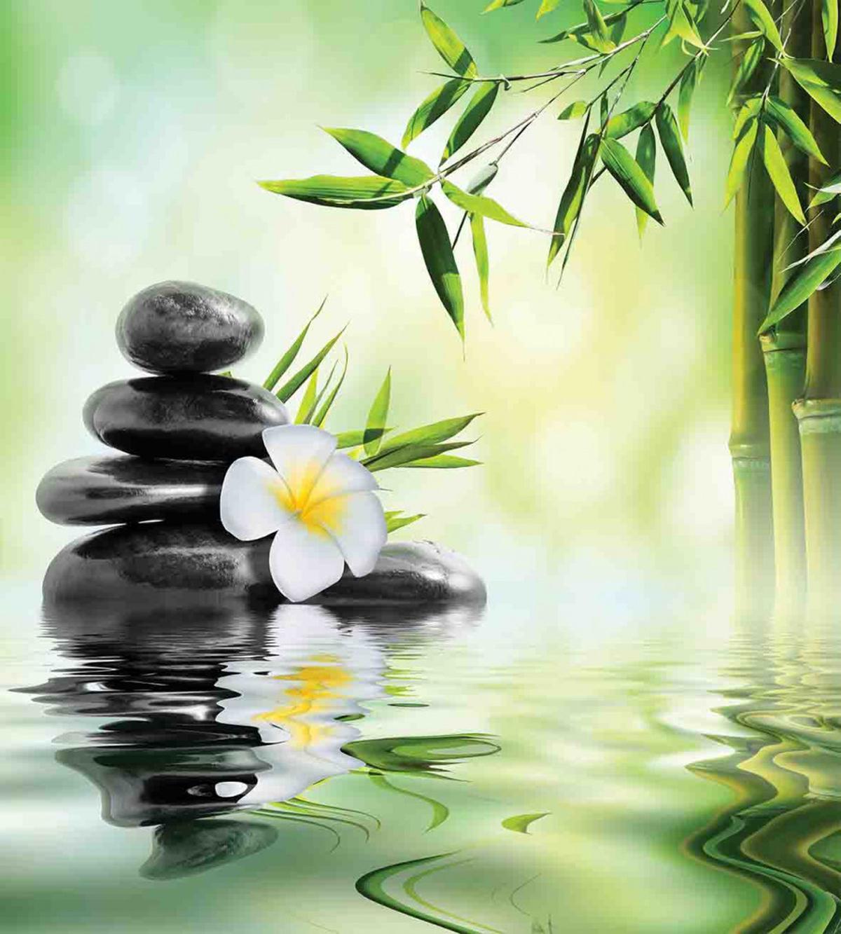 Bamboo Japanese Relax — Pattern