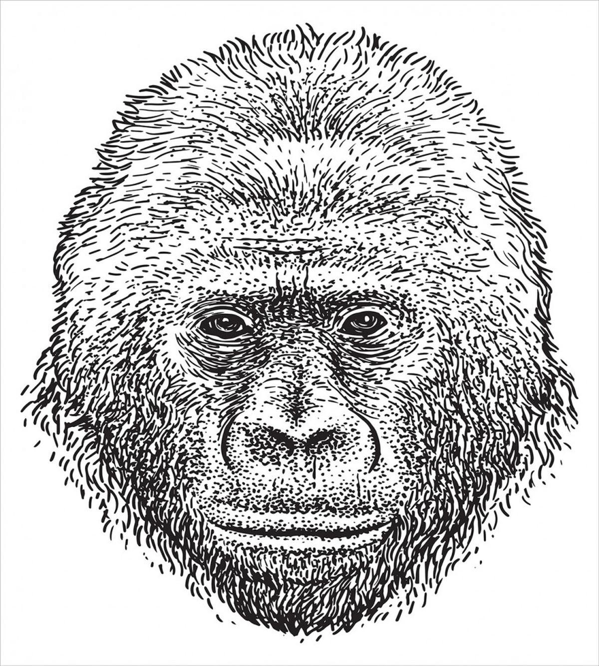 Wild Animal Portrait — Pattern