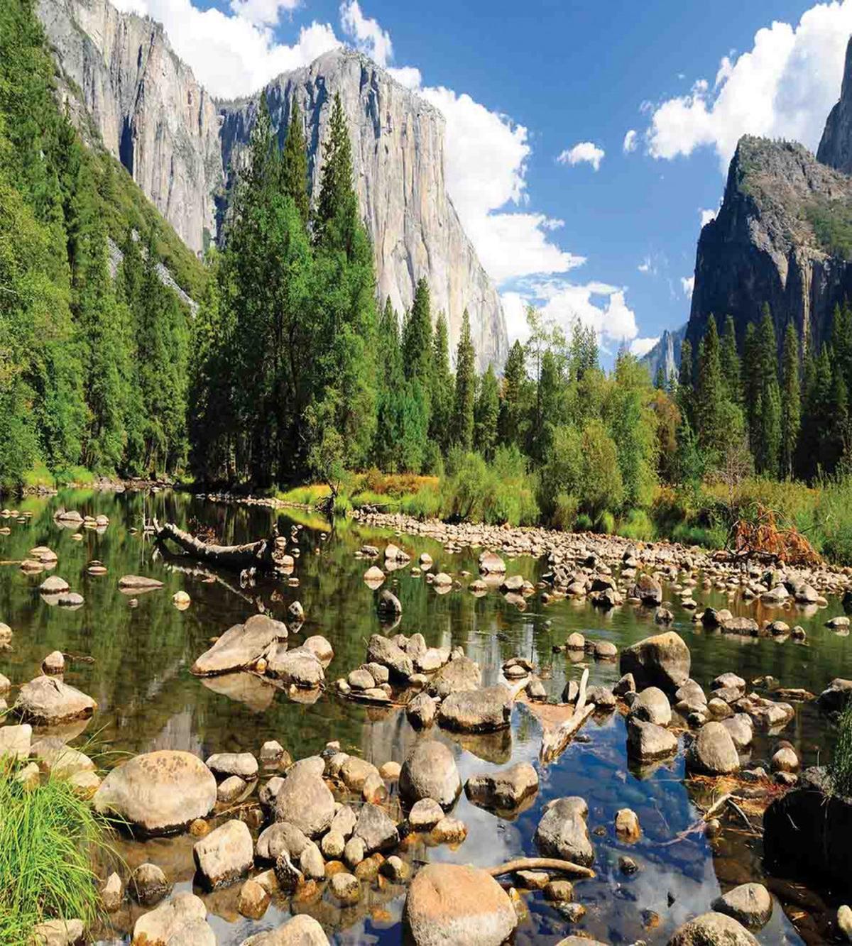 Yosemite Forest River — Pattern