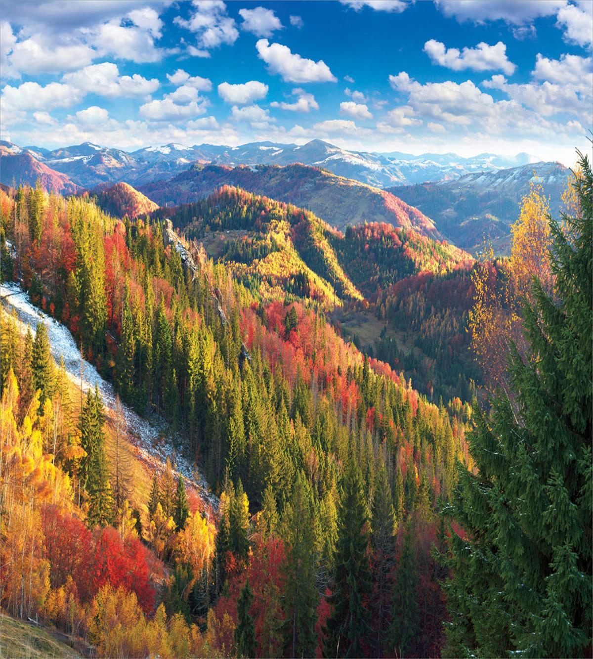 Carpathians in Autumn — Pattern