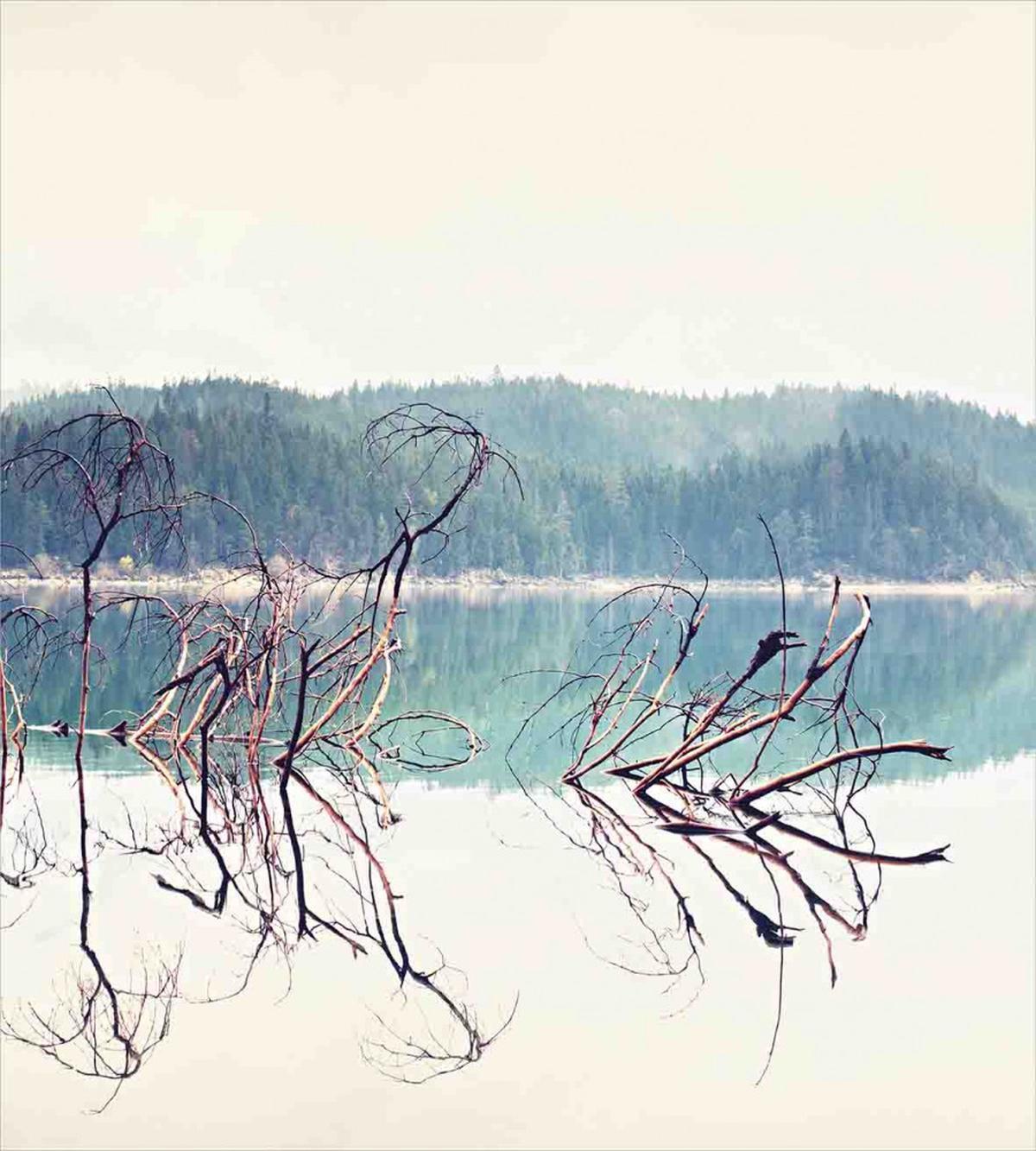 Fallen Tree in Beach — Pattern