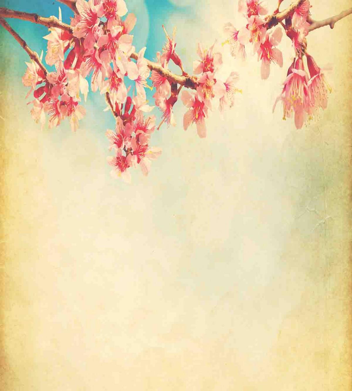 Spring Sakura Vintage — Pattern