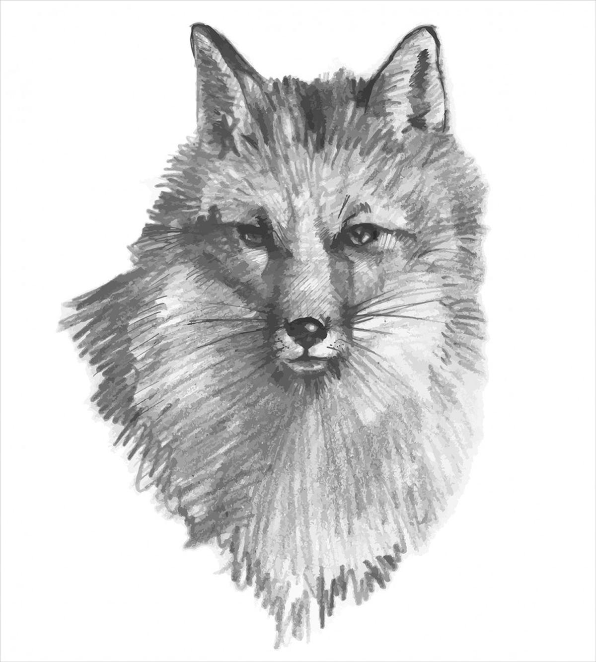 Sketchy Portrait Predator — Pattern