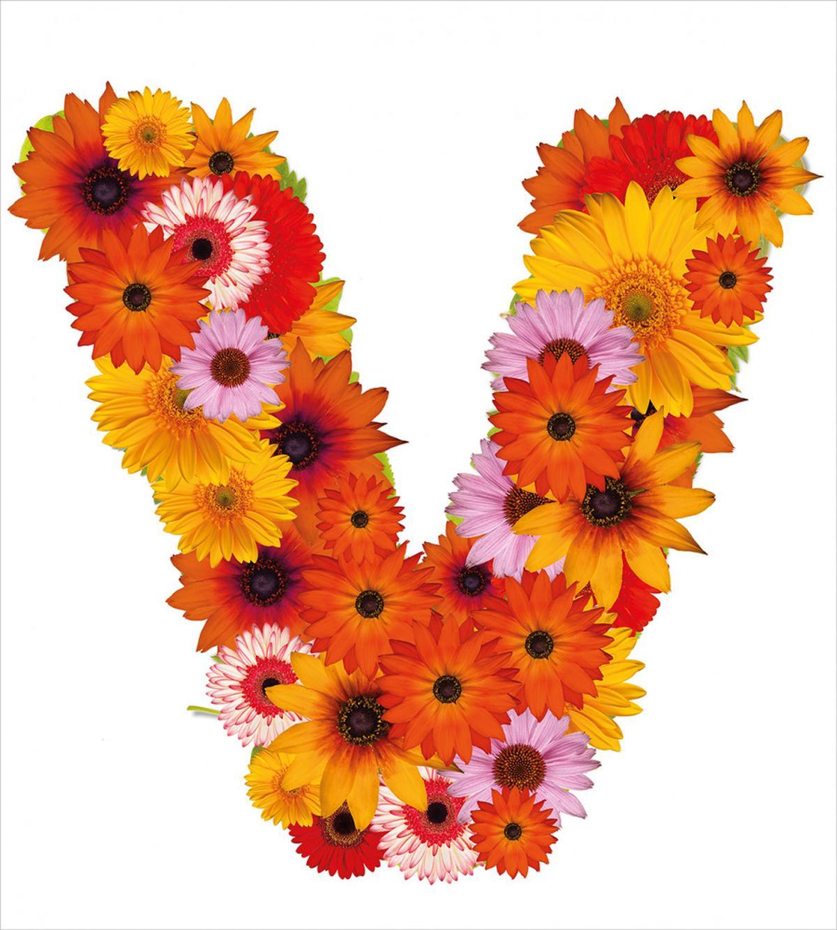 Summer Time Vivid V — Pattern