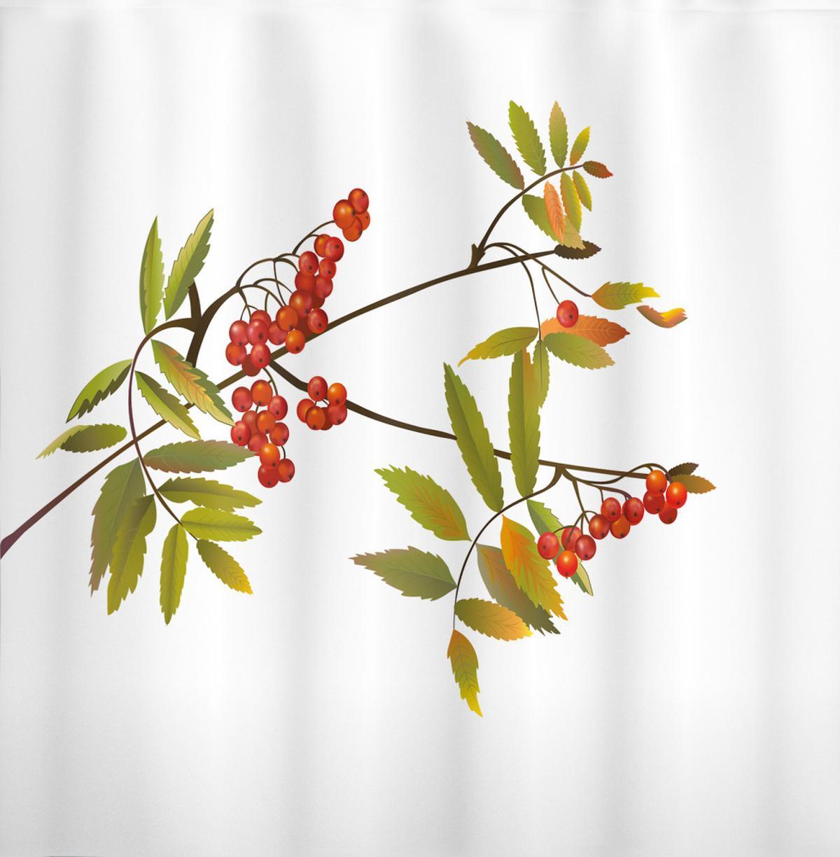 Fresh Organic Ashberry — Pattern