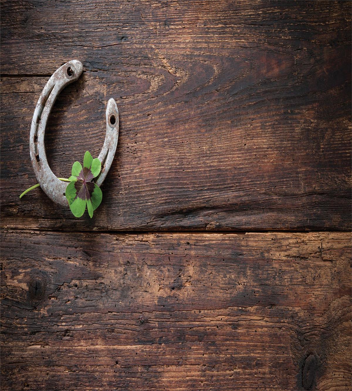 Rusty Horseshoe on Wooden — Pattern