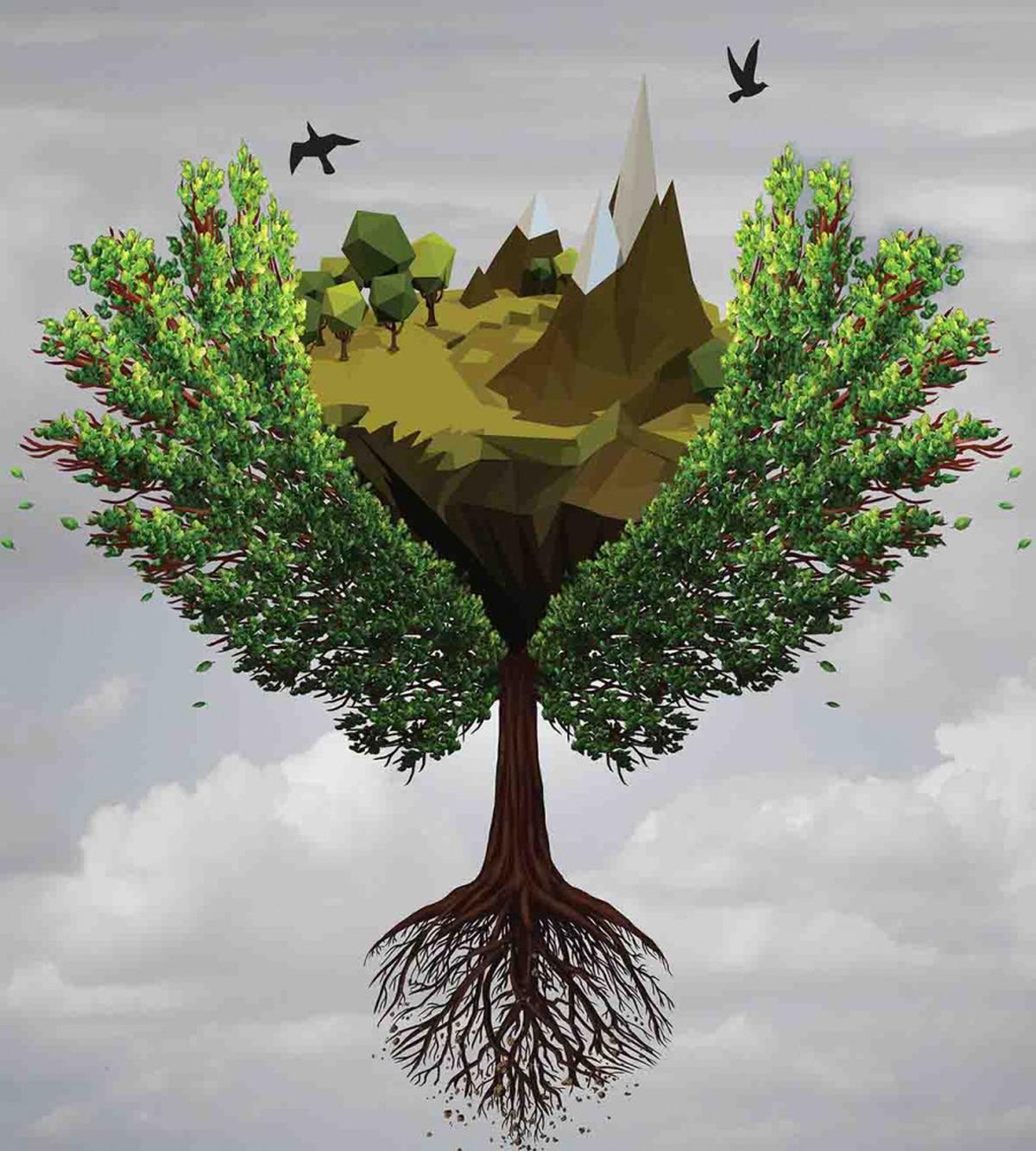 Fractal Trees — Pattern