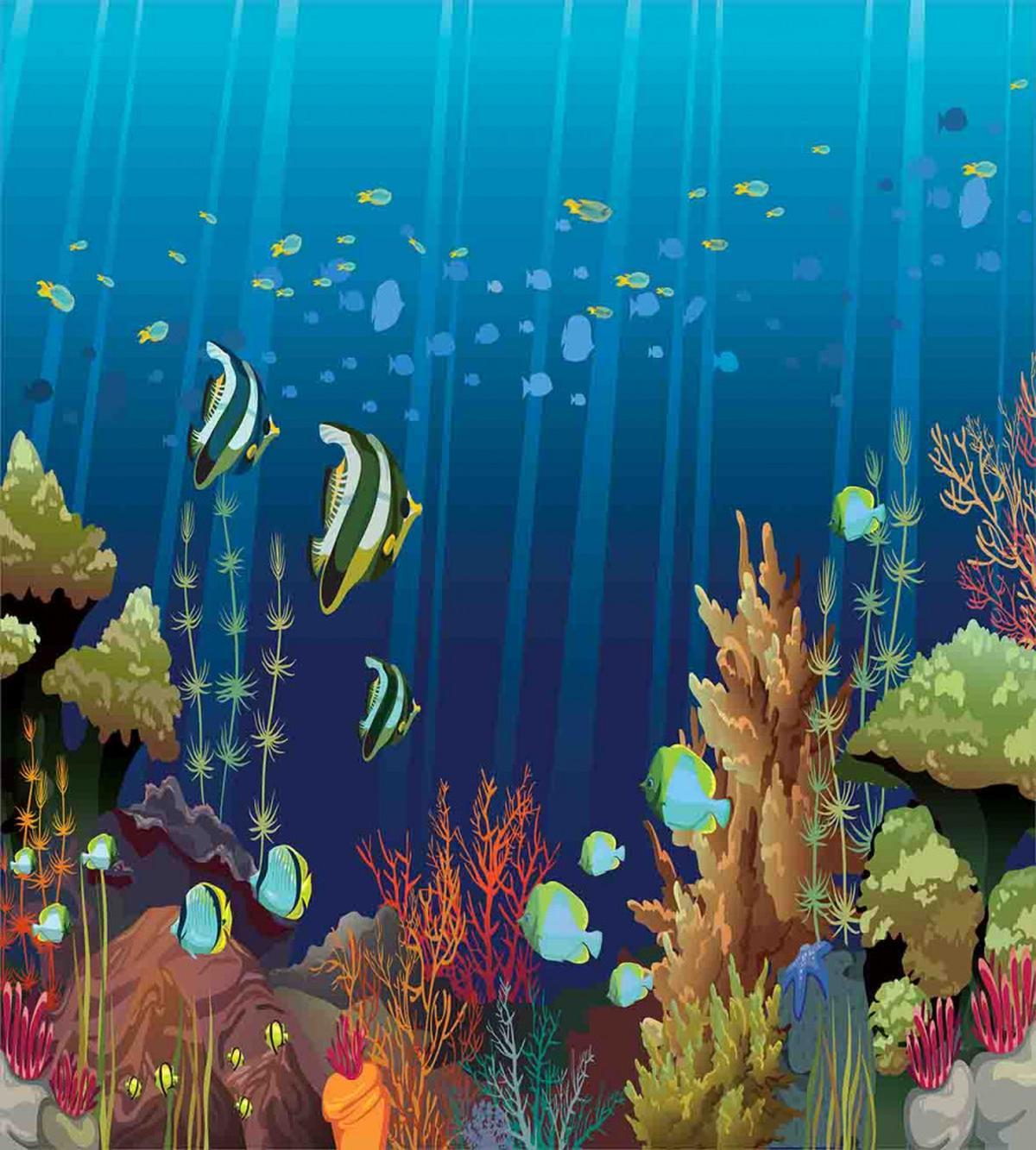 Coral Reef Fishes — Pattern