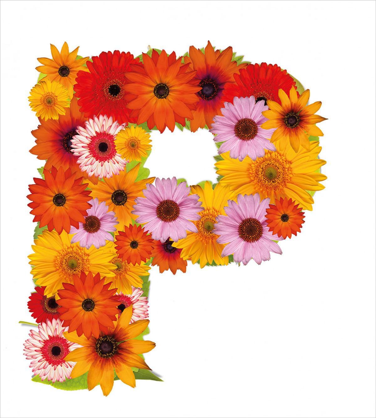 Arrangement with Sign — Pattern