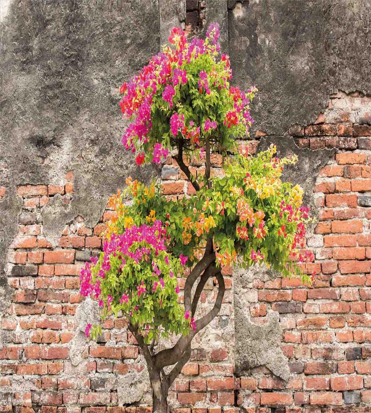 Flourishing Tree Wall — Pattern