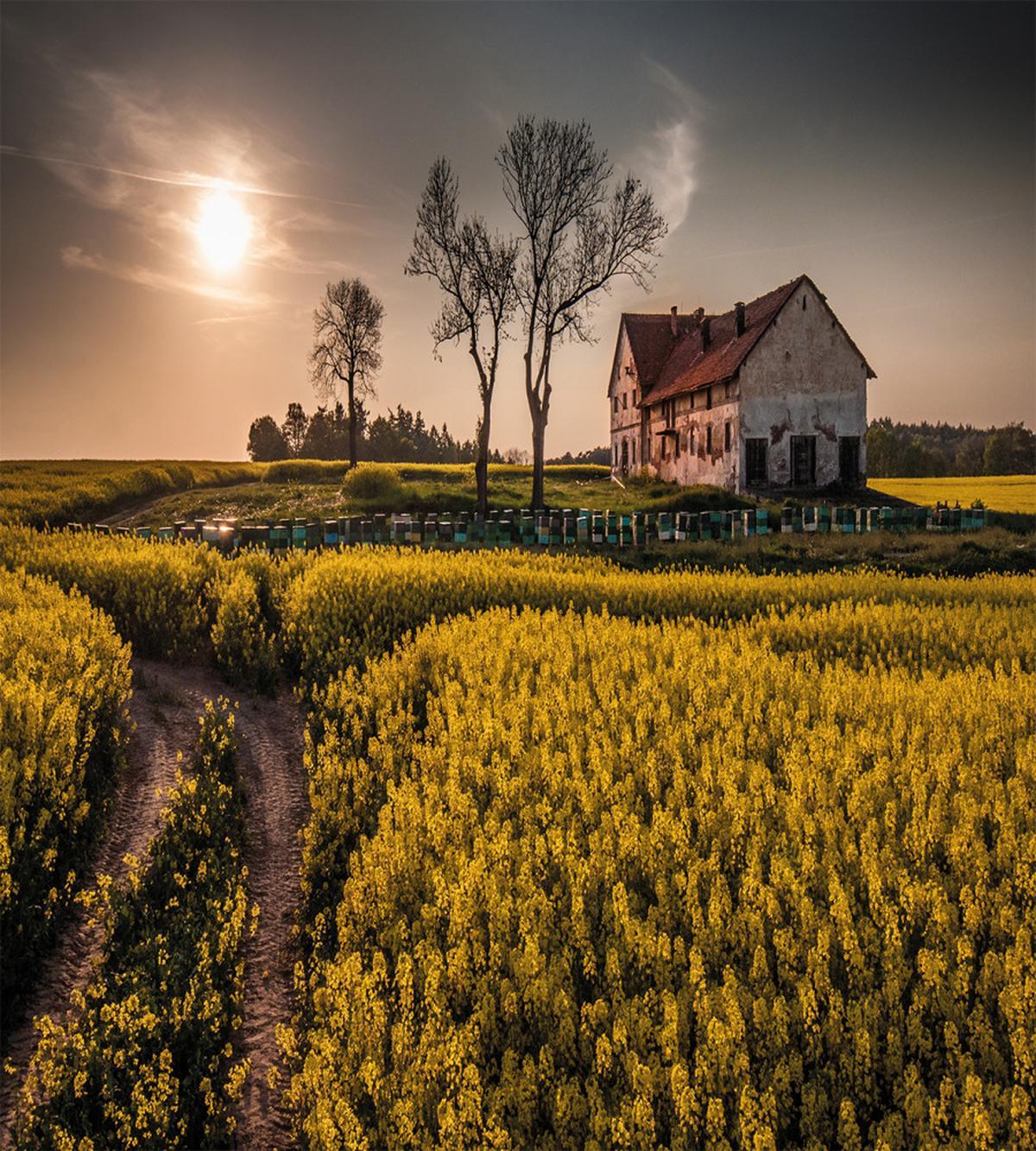 Old Rural House — Pattern