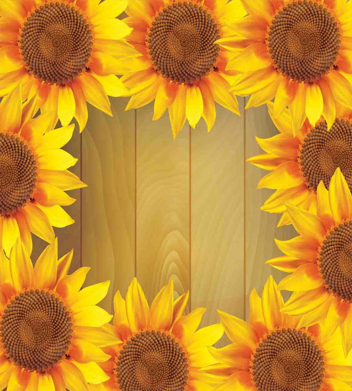 Flower Frame Circle — Pattern