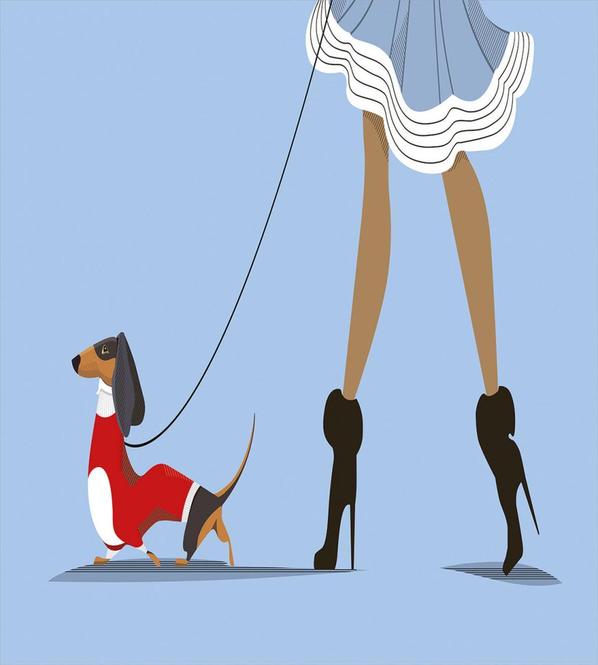 Woman and Dog Fashion — Pattern