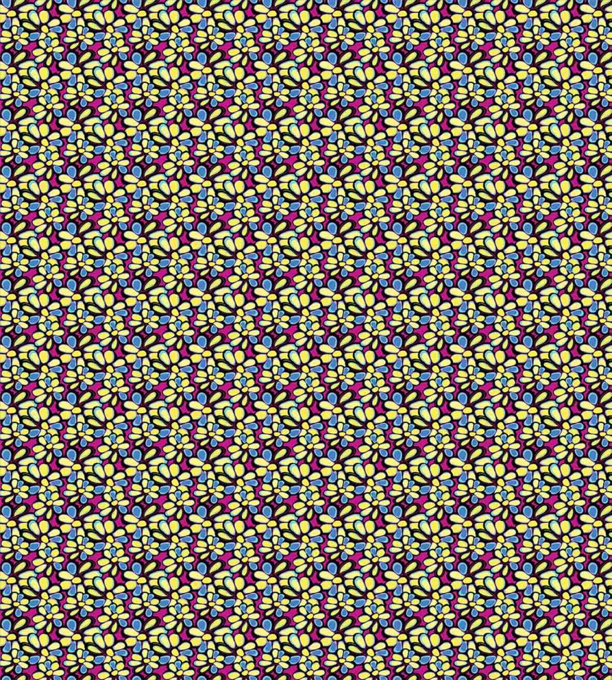 Daisy Graffiti — Pattern