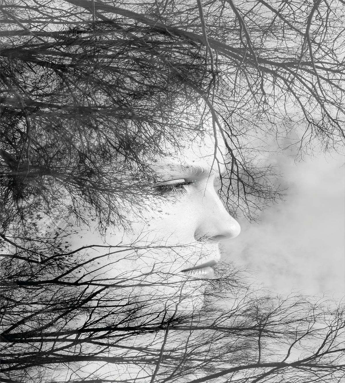 Woman and Trees — Pattern