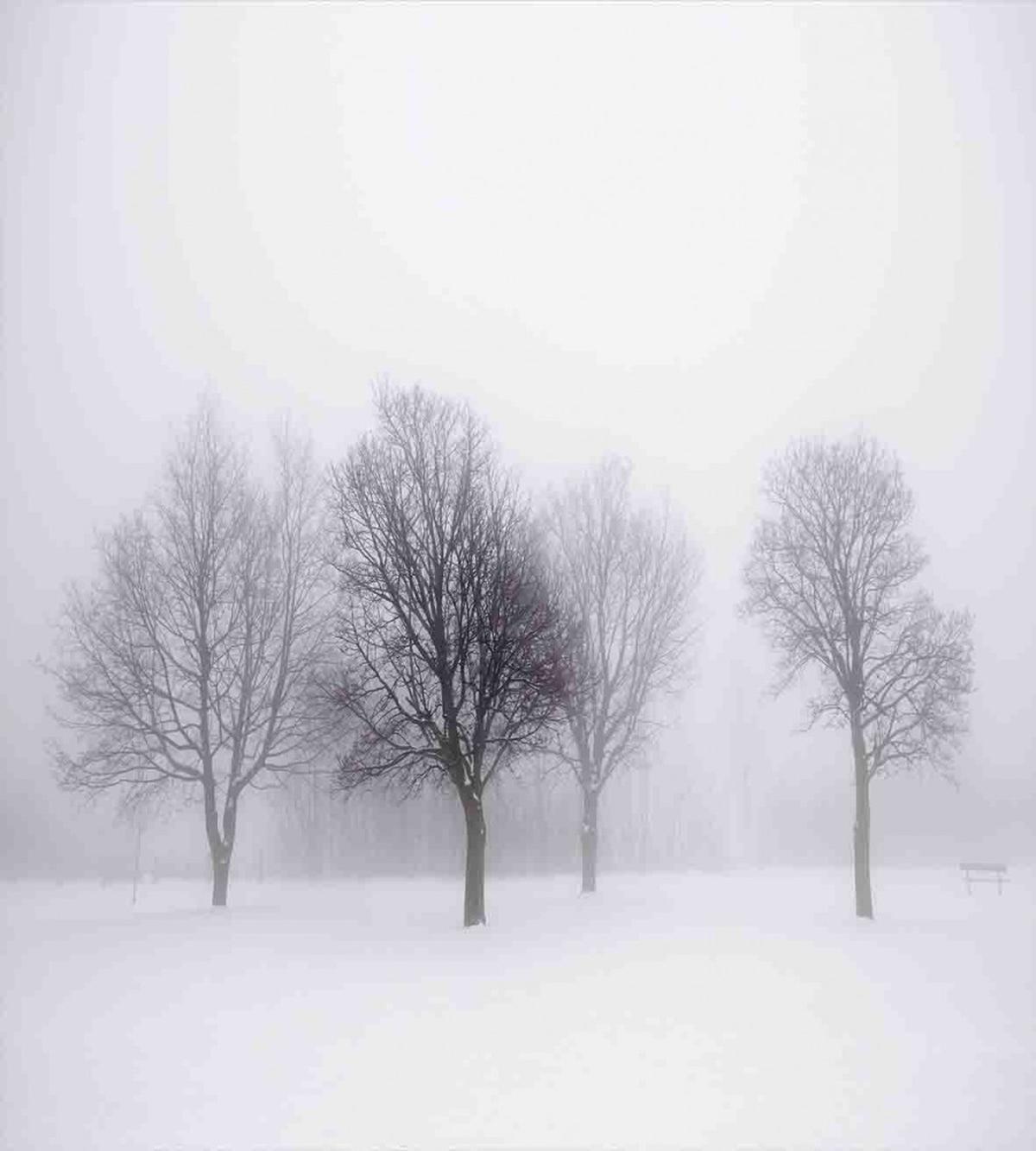 Misty Winter Scenery — Pattern