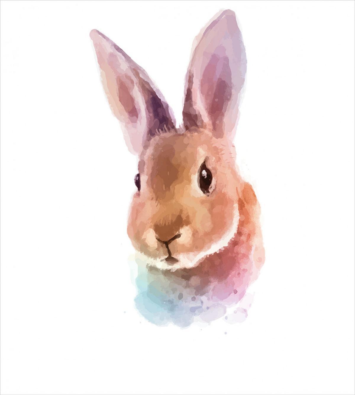 Watercolor Art Rabbit Head — Pattern