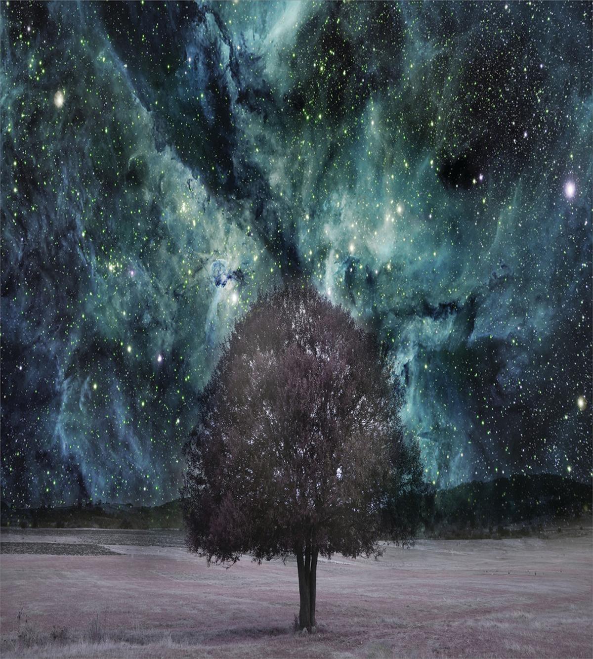 Nebula Galaxy Planet Tree — Pattern