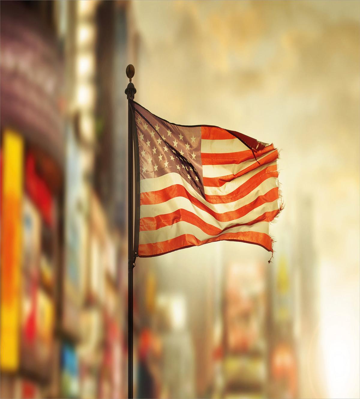 American Independence — Pattern