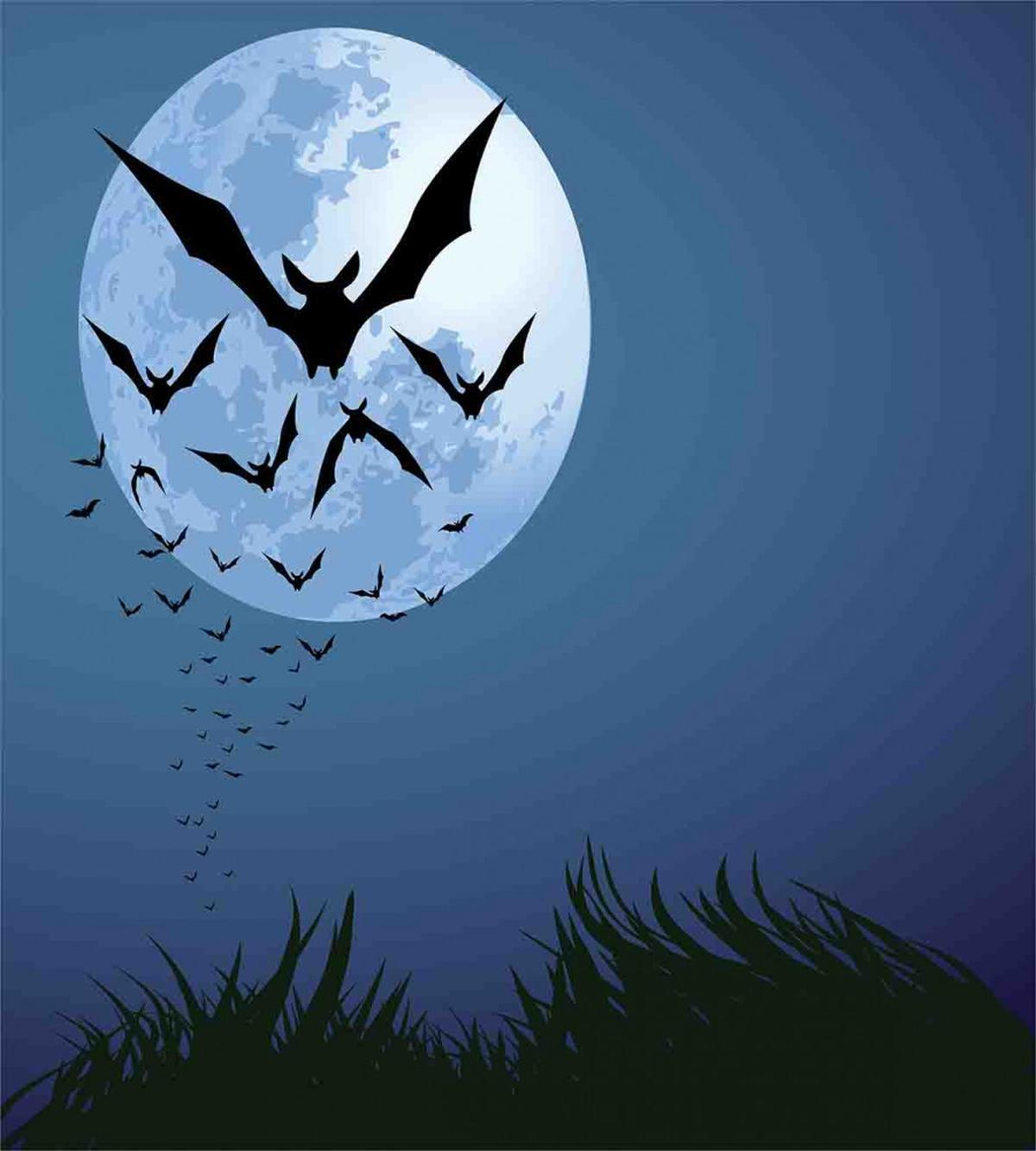 Cloud of Bats Flying — Pattern