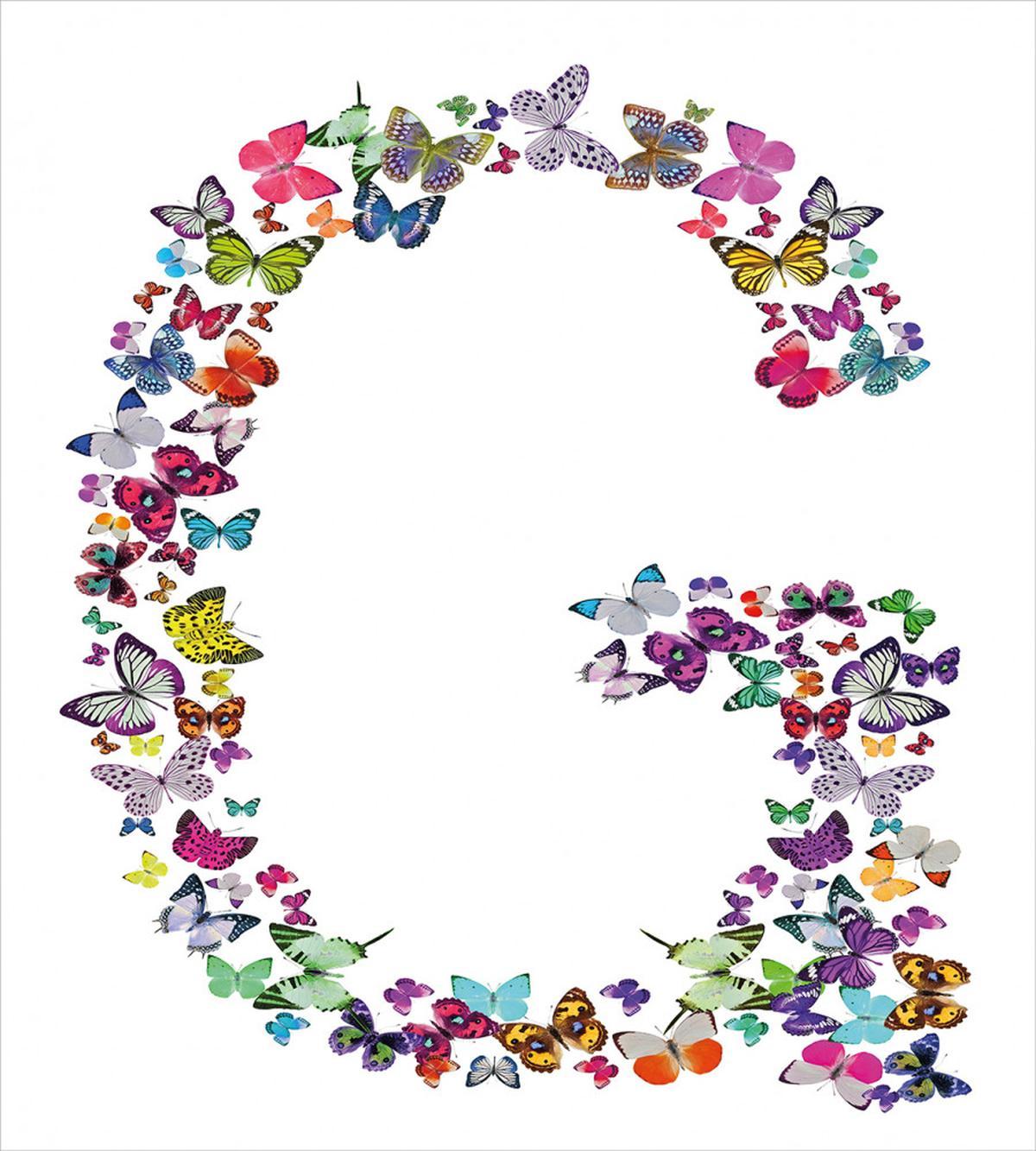 Exotic Butterflies — Pattern