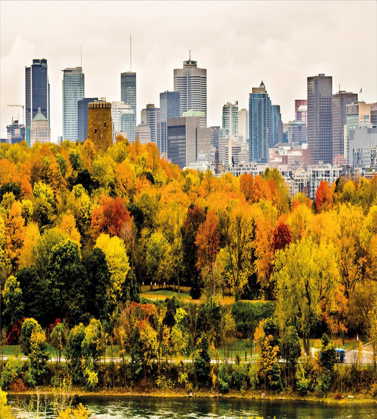 Montreal in Autumn Season — Pattern