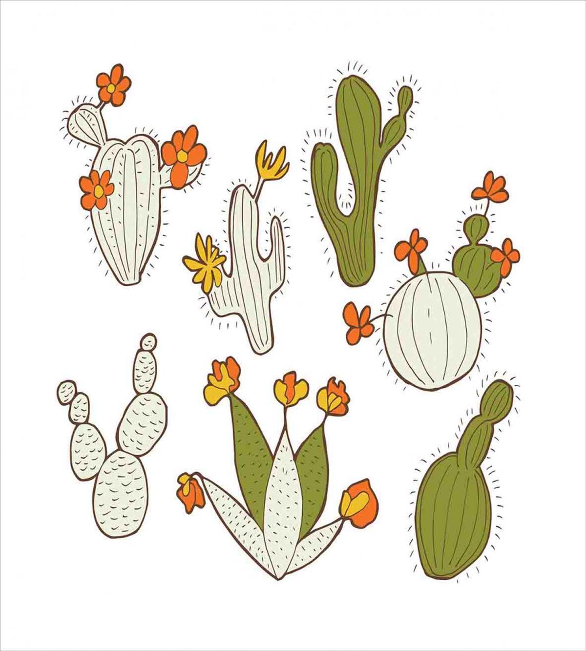 Doodle Cacti Flora — Pattern
