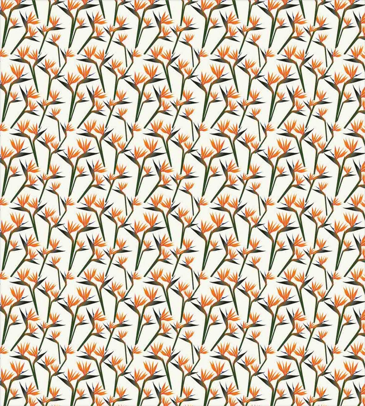 Birds of Paradise — Pattern