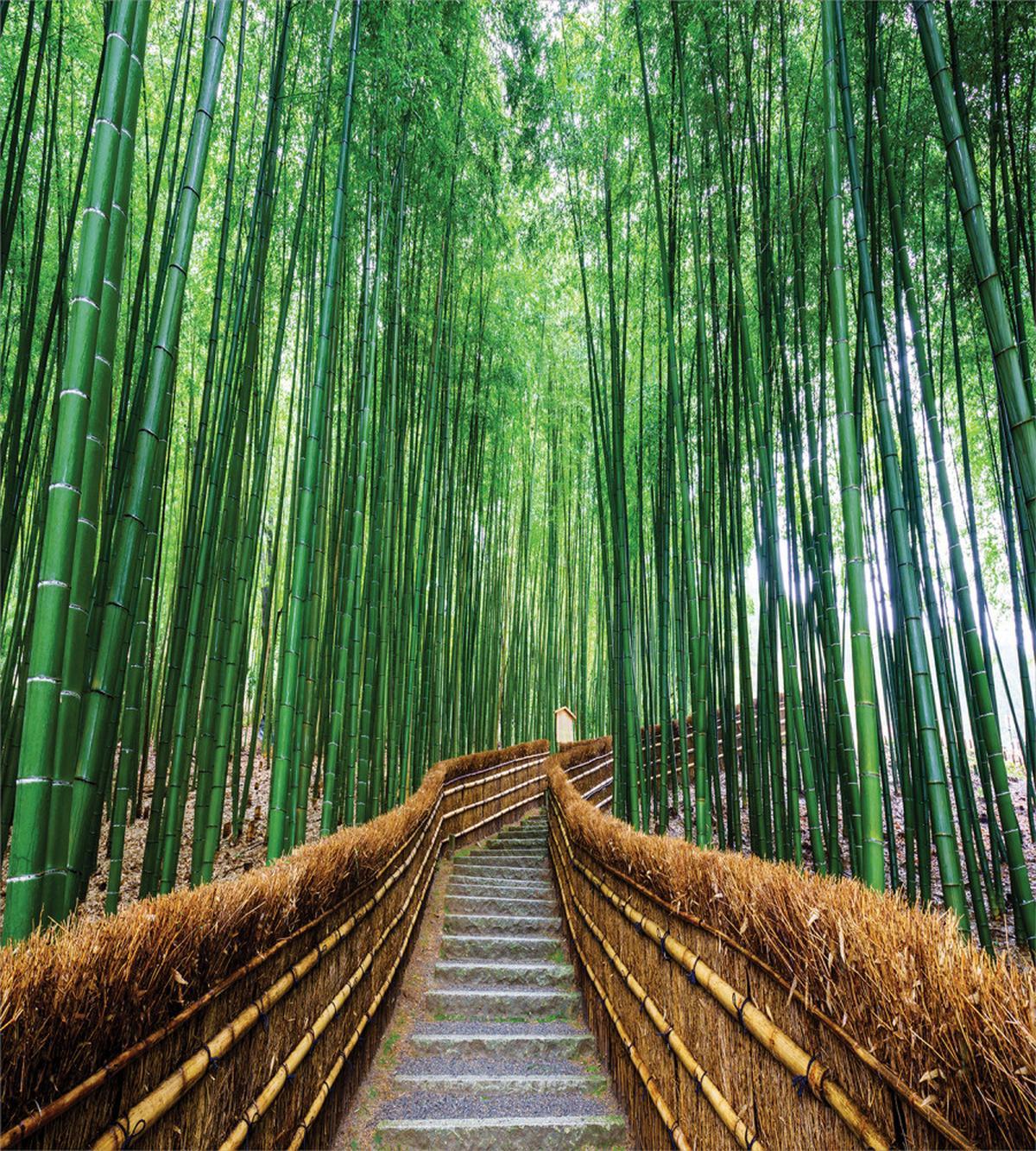 Tropical Exotic Scenery — Pattern